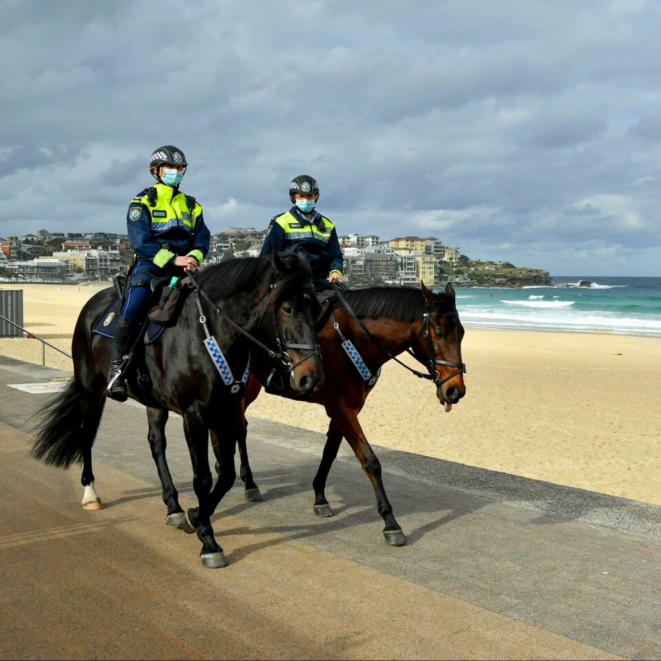 KORONA: Politi på hester ved Bondi Beach i Sydney passer på at ingen bryter korona-reglene. Politi på hester ved Bondi Beach passer på at ingen bryter koronanedstengingen. Foto: Joel Carrett / AAP Image via AP / NTB
