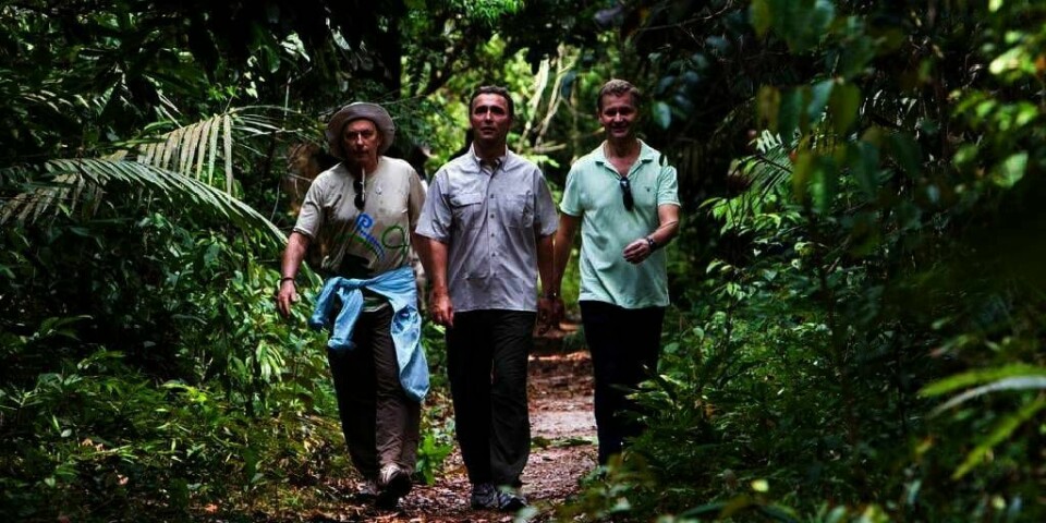 BORTE: Statsminister Jens Stoltenberg, miljø- og utviklingsminister Erik Solheim og Brasils miljøminister Carlos Minc (til venstre) utforsket regnskogen i Amazona i 2008. Nå kan mye av skogen bli hugget ned. Det skjer etter en lovendring i Brasil.