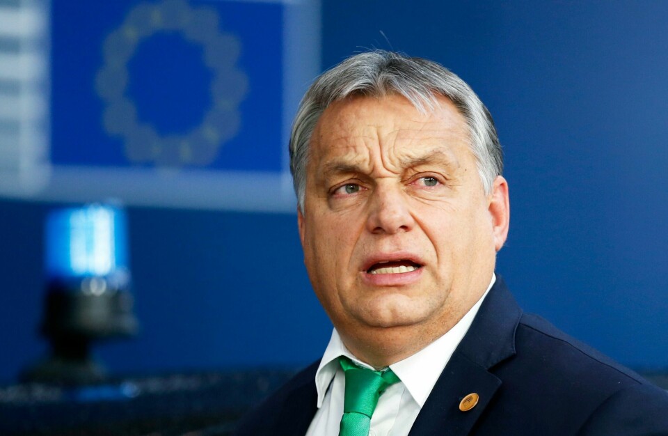 VINNER: Viktor Orban fortsetter trolig som statsminister i Ungarn. Han har streng politikk mot innvandring.