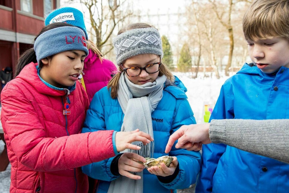 BEDRE FORSTÅELSE: Det er flere fag i norsk skole som skal endre seg. Utdanningsdirektoratet håper at elever kan få en større forståelse. Mat og Helse er et av fagene som skal bli mer praktisk. De vil at man skal få en større glede til å skape og utforske.