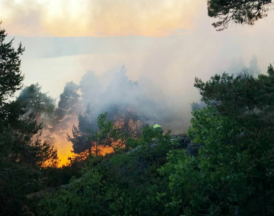 SKOGBRANN: Flammene spredte seg raskt i Moss i Østfold. Onsdag morgen jobbet brannfolk fortsatt med å slokke flammene.
