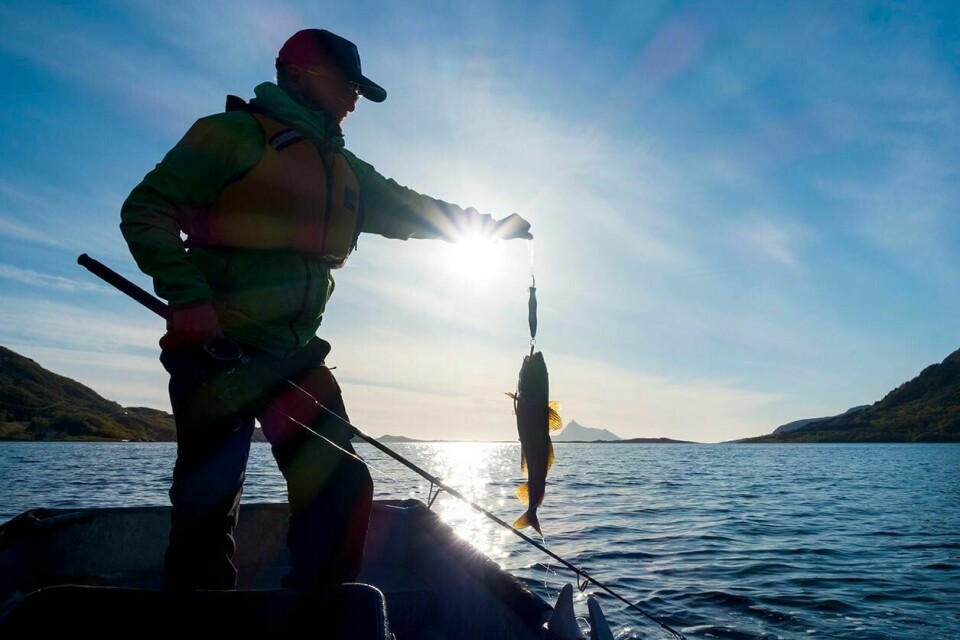 FISKER: Det er populært å fiske i Norge. Men mange turister tar med seg mer fisk enn det som er lov.