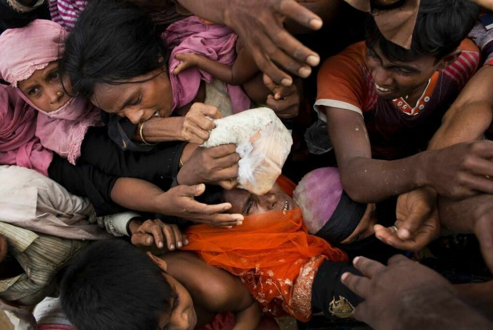 SULTNE: Rohingyaer kjemper om ris som frivillige delte ut i Kutupalong i Bangladesh lørdag. Over 300.000 har flyktet fra Myanmar de siste ukene.