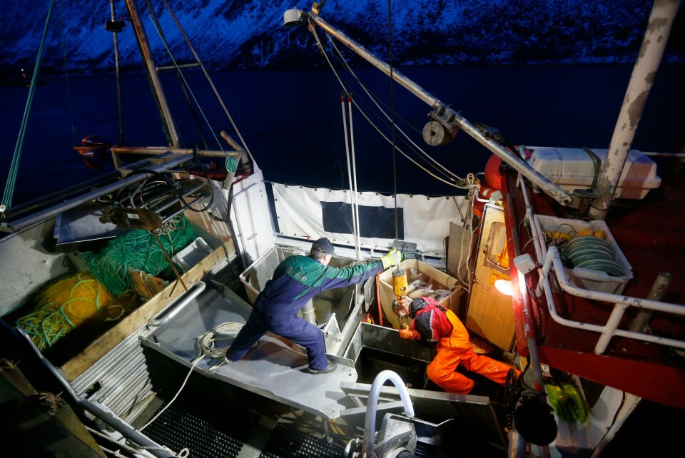 KRISE: I januar starter fiske etter skrei. Da er det mange bygder i Nord-Norge som har behov for hjelp fra utlandet. Sjømat-bransjen skal møte regjeringa torsdag. Bildet er fra en fiskebåt. Bildet er tatt høyt oppe, og ned mot to personer som jobber på dekk på båten.