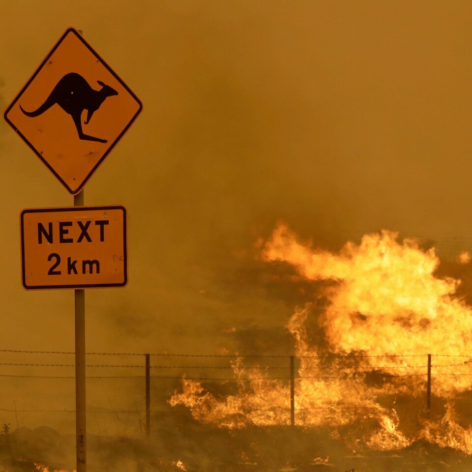 BRANT: Det var flere branner i Australia denne vinteren. Landet brant i over et halvt år til sammen. 80 prosent av innbyggerne i Australia ble rammet på en eller annen måte.