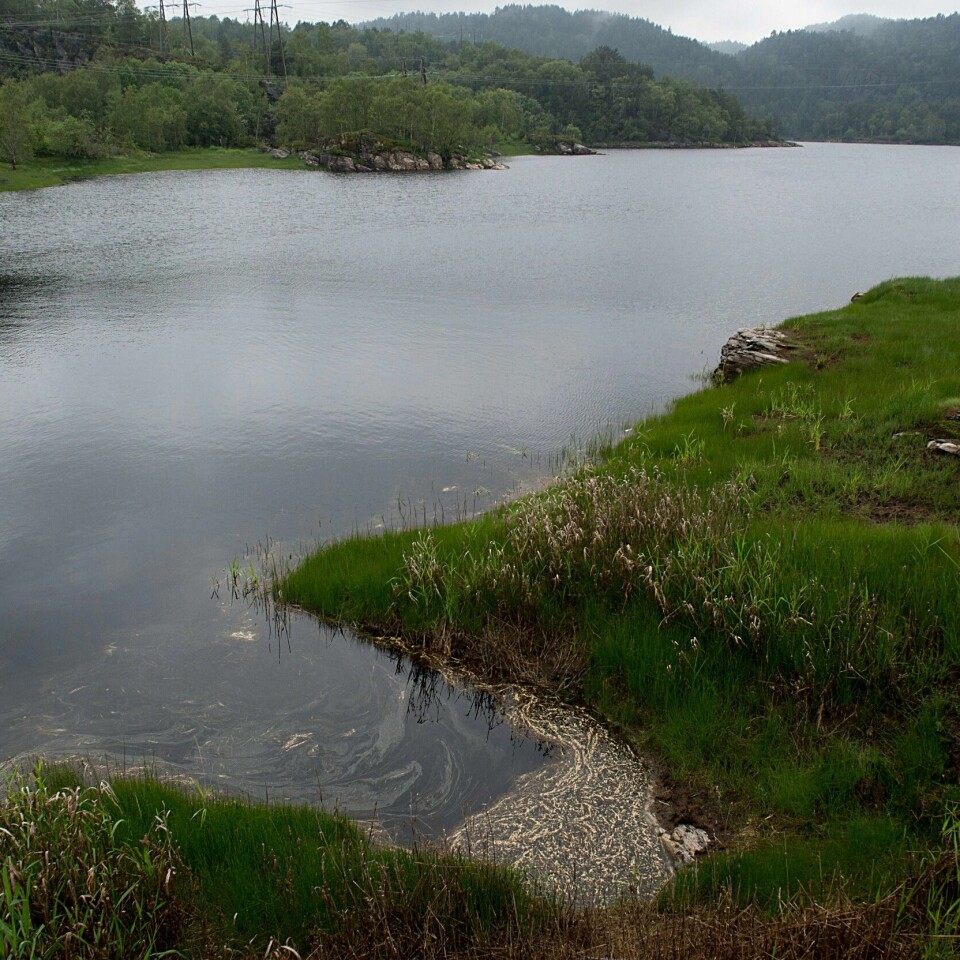 SMITTE: Bakterien E. coli er funnet i et lite vann på Askøy. Mange har blitt syke.