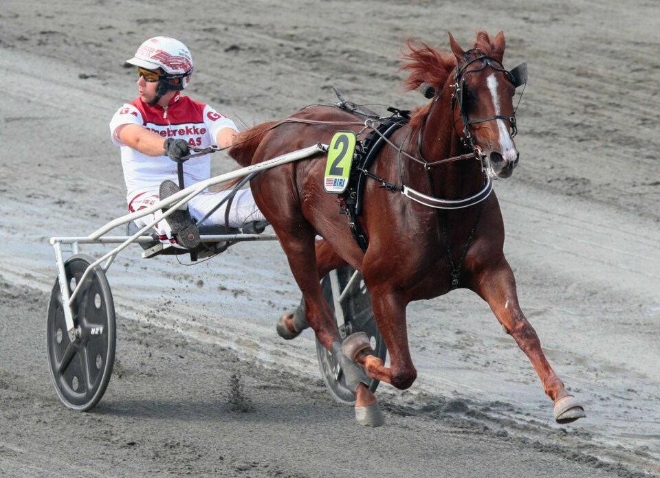 SKADD: Kusken Gøran Antonsen ble skadd. Her er han med hesten Lionel i 2018.