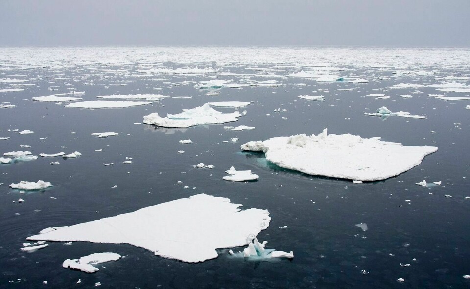 HAVIS: Forskere er bekymret for mye plast i havisen.