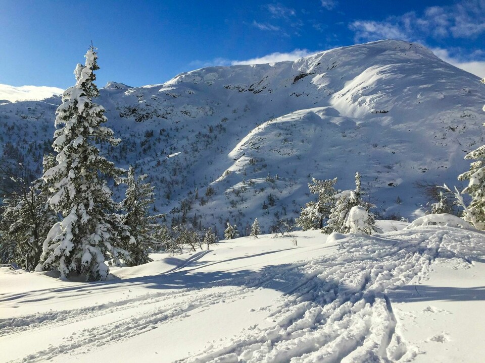 VINTER: Det blir fortsatt fint vintervær i tiden som kommer.