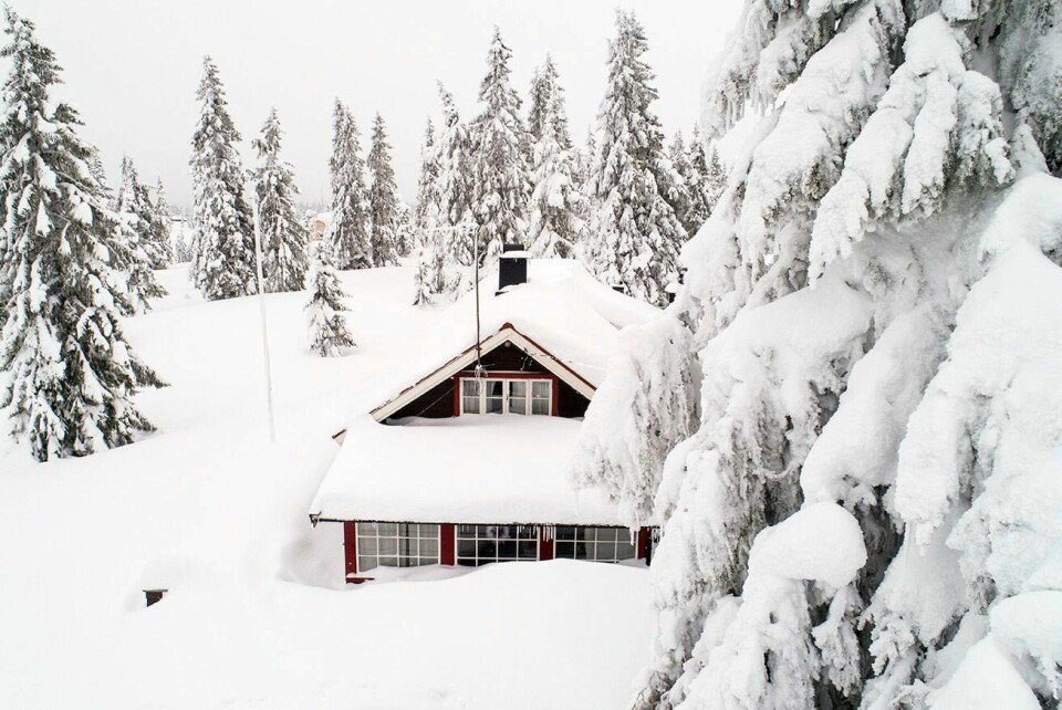 SNØ: Hustakene kan knekke med for mye snø oppå. Det kan være lurt å måke bort snøen.