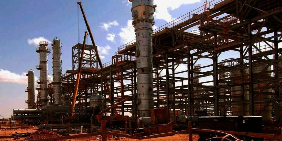 GISLER: Omtrent halvparten av 132 utenlandske gisler er nå fri fra terroristene i Algerie. Det melder et nyhetsbyrå i Algerie. Det er fortsatt uklart hva som skjer med åtte nordmenn.