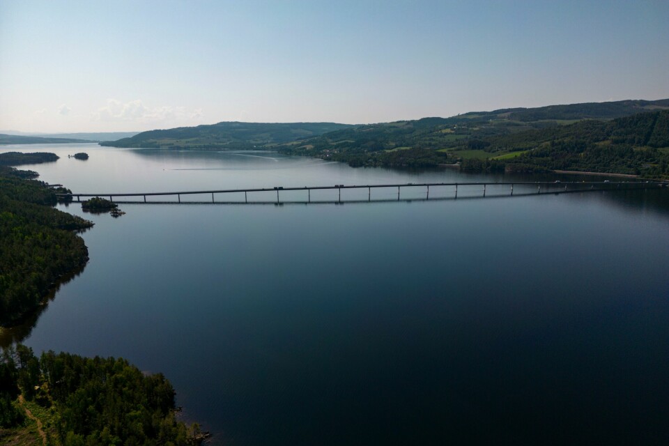 INNLANDET: Hunden bet gutten ved en ungdomsskole i Ringsaker kommune. Bilde av Mjøsbrua.