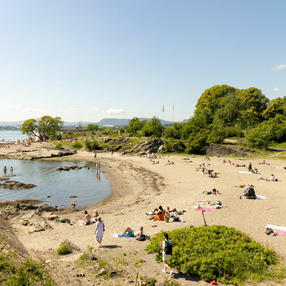 VÆR: Hvis du bor i Sør-Norge kan det være lurt å planlegge en tur på stranda i helgen. Bildet viser folk som ligger ute i varmen ved Huk på Bygdøy i Oslo.