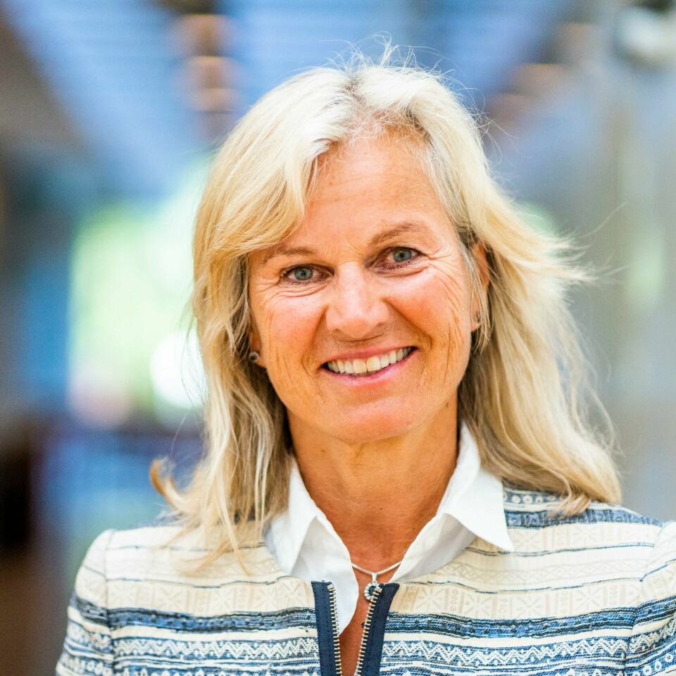REISELIV: – Vi ser at selv om været ikke alltid har vært det beste, så er folk landet rundt flinke på å finne på ting inne hvis det regner ute. Det sier Kristin Krohn Devold i NHO Reiseliv. Bildet er av Kristin Krohn Devold i NHO Reiseliv.