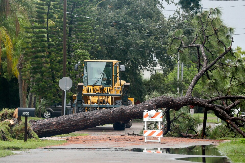 FLORIDA: Uværet Debby herjet i Florida mandag. Debby røsket løs trær flere steder i Florida mandag, som her i Oldsmar. Foto: Jefferee Woo / Tampa Bay Times / AP / NTB
