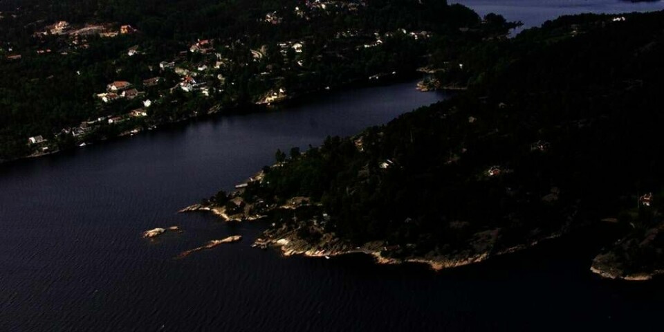 VIKTIG UTSIKT: En hytteeier hugget ned naboens trær. Derfor må han betale 1 million kroner i erstatning. Bildet er et illustrasjonsfoto.