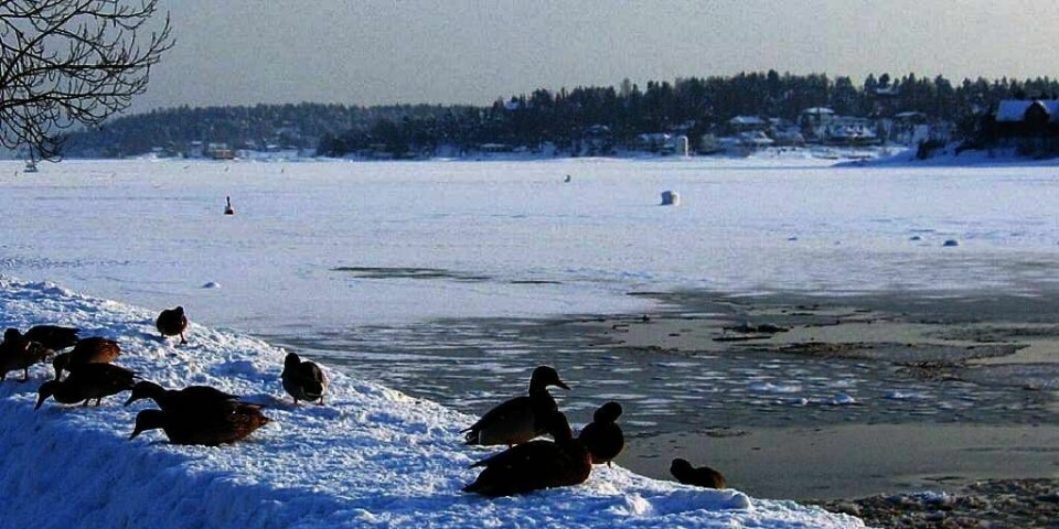 USIKKER: Det er blitt tynn og dårlig is på mange vann. Du må passe på hvis du skal gå tur eller på ski i påsken.