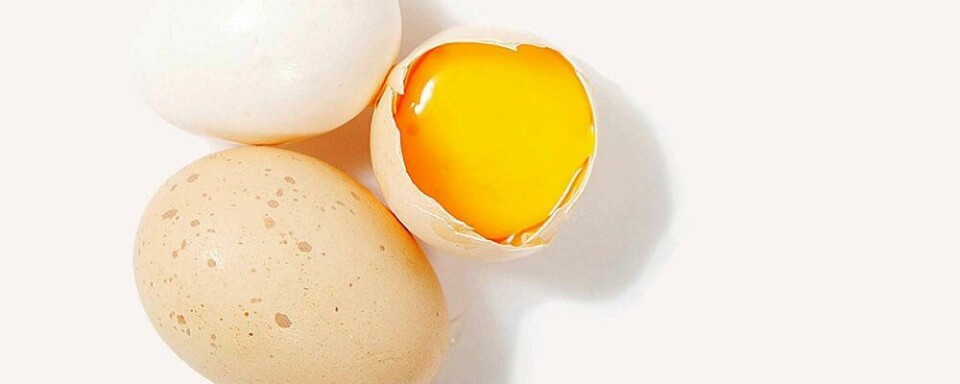 LIV: For mange er egg et symbol på liv.