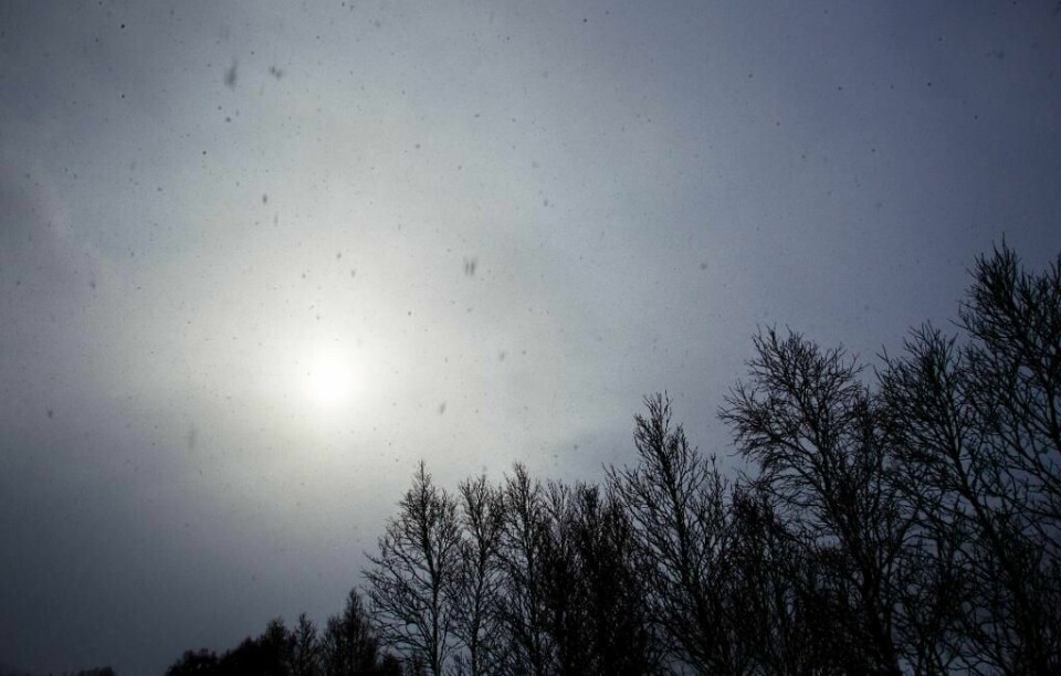 VINTER: Mange kan glede seg over sol og flott vær. Men det blir kaldere. Vinteren nærmer seg.