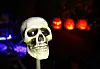 DØD: På halloween er det både hodeskaller og gresskarlykter. Alt skal være skummelt.