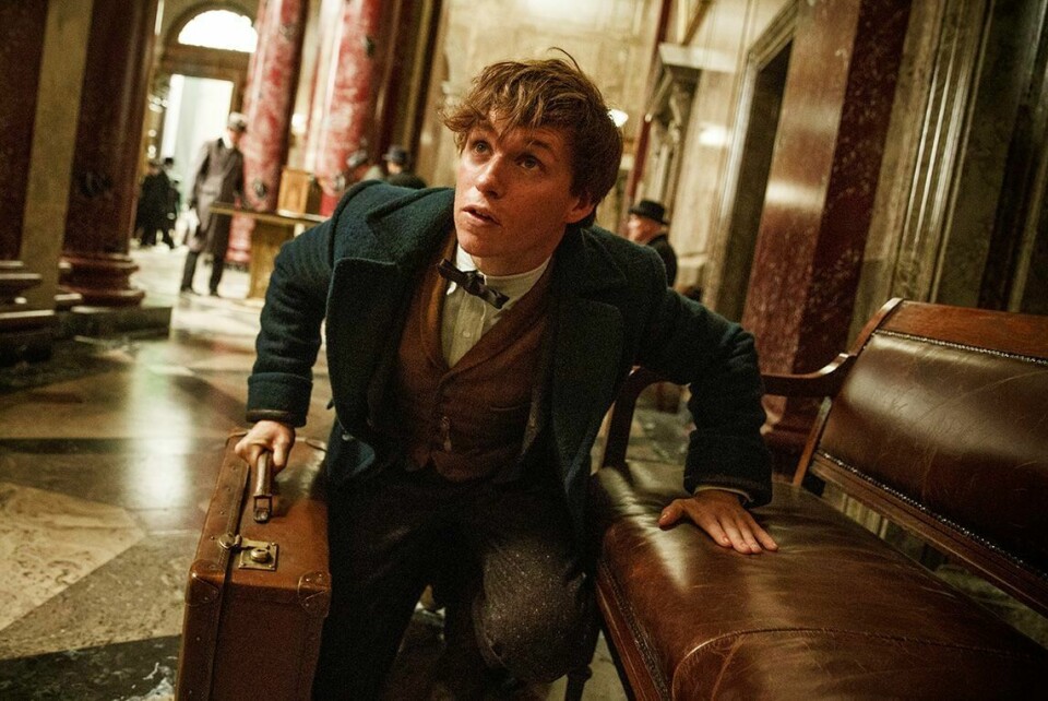 FISLE: Dette er Salamander Fisle. Han blir nevnt i filmene om Harry Potter. Nå får han sin egen filmserie. Den handler om fabeldyr. Eddie Redmayne spiller Fisle.