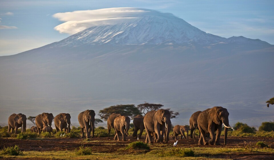FORSVINNER: De få isbreene Afrika har, kan forsvinne innen de neste 30 årene. På bildet som er fra 2012, er snøen på toppen av Kilimanjaro godt synlig. Innen de neste 20 årene kan Afrikas isbreer være smeltet helt som følge av klimaendringene, advarer FN i en ny rapport. Foto: Ben Curtis / AP / NTB