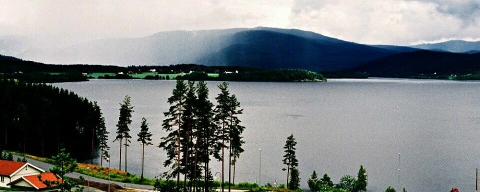 SAVNET: En mann har vært savnet siden søndag. Mandag ble han funnet død i innsjøen Krøderen.