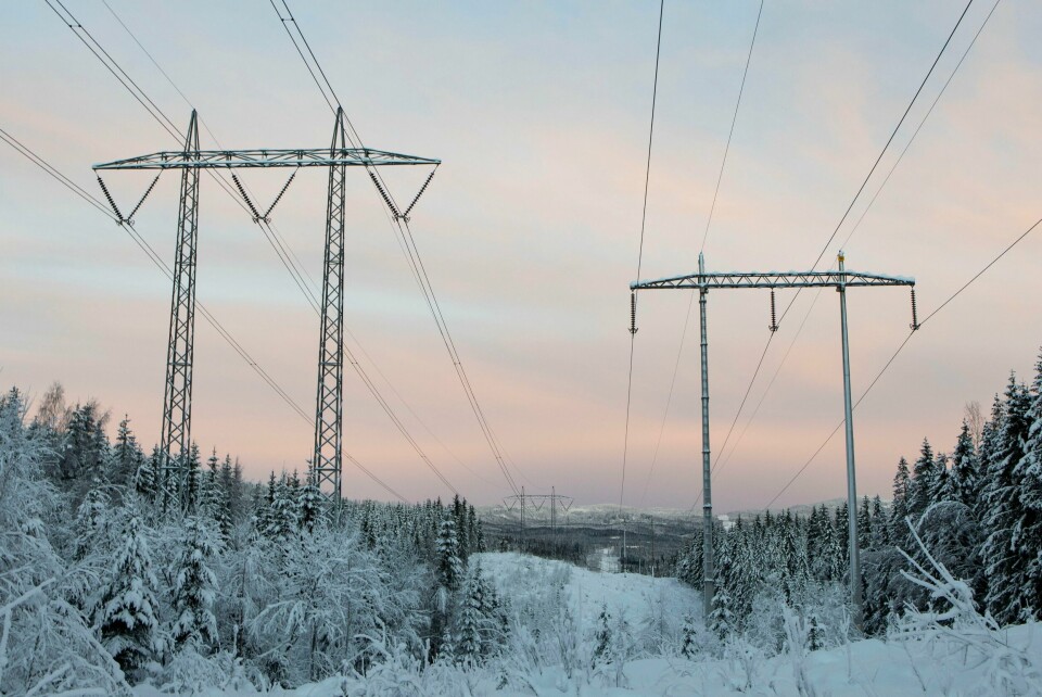 SNØ: Snøen har begynt å falle i store deler av Norge. Samtidig er strømmen rekorddyr. Bildet er av strømmaster som er mellom trær i skogen. Det er snø på bakken og på trærne.