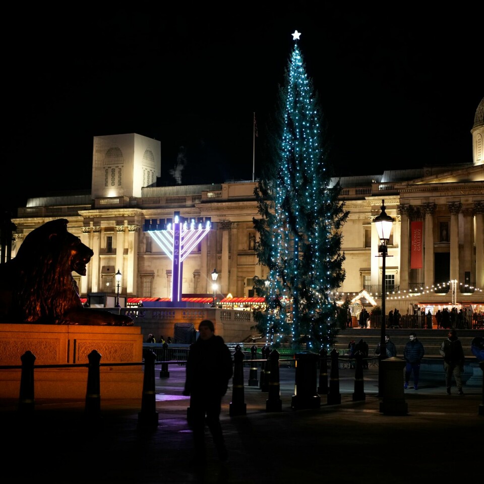 JULEGAVE: Flere er lite imponerte over julegaven fra Norge som står tent i London. Det norske juletreet ble tent på Trafalgar Square torsdag ettermiddag. Foto: Matt Dunham / AP / NTB
