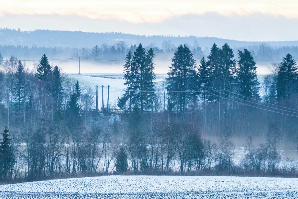 DYRT: Med lave temperaturer er det fristende å skru opp varmen. Det kan bli dyrt. Straukablar strekkjer seg gjennom vinterlandskapet ved Vormsund. Mange nordmenn oppgir at den høge straumprisen gjer at dei må kutte andre kostnader. Illustrasjonsfoto: Håkon Mosvold Larsen / NTB / NPK