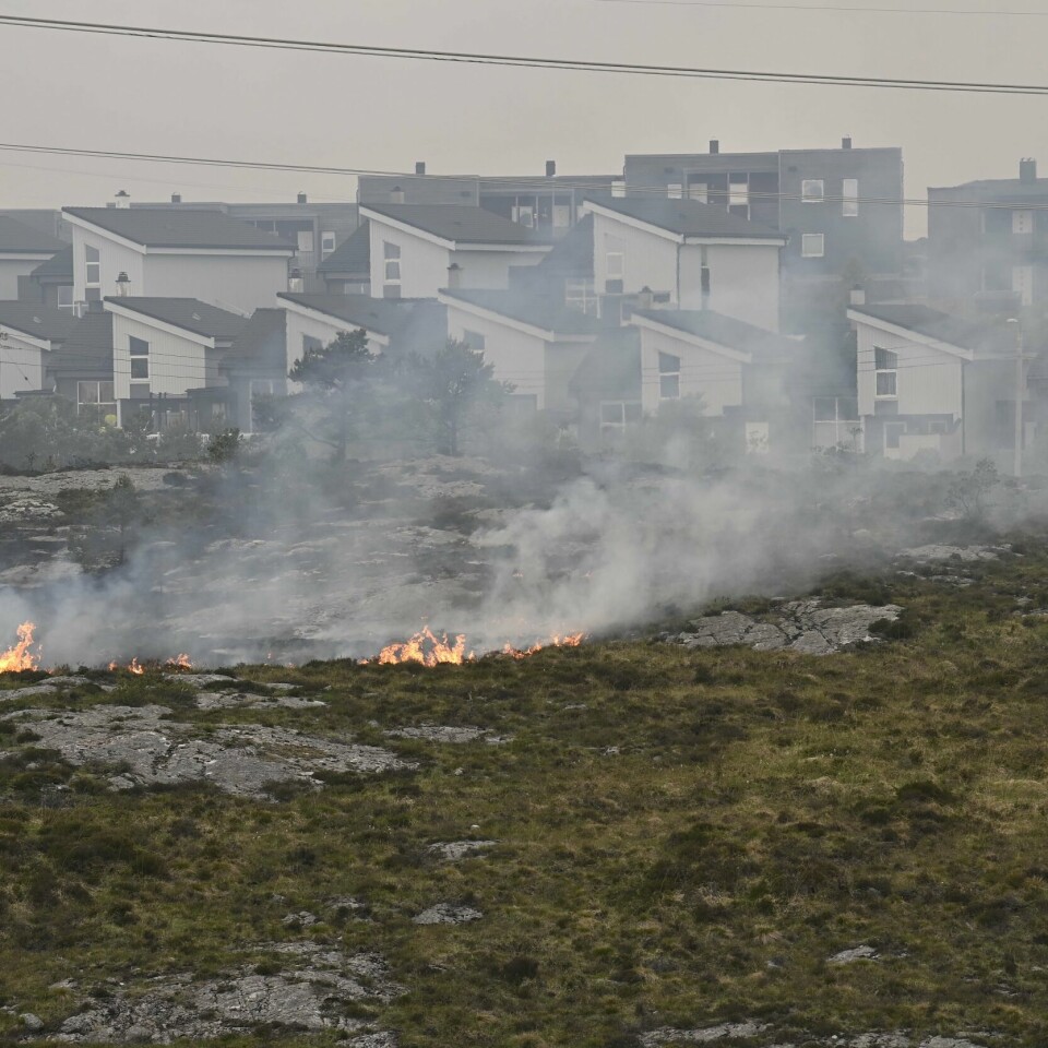 BRANN: Rundt 500 personer har måttet forlate husene sine som følge av brannen på Sotra. Bildet viser flammer i lyngen på Sotra. I bakgrunnen er det flere boliger.