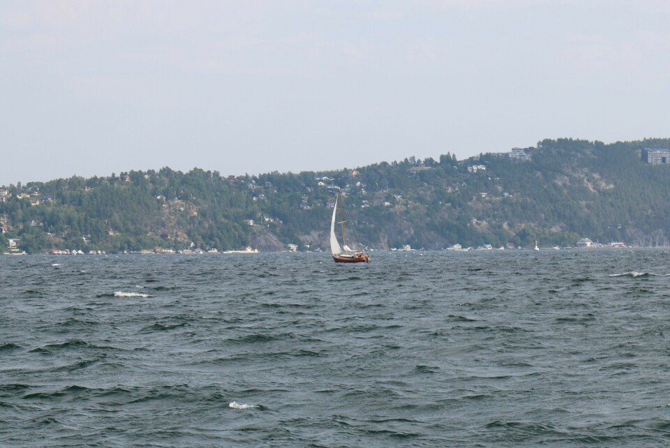 VIND: Dyrt drivstoff gjør at det er færre båter på sjøen. Men vind er gratis, og seilbåt er topp. Bildet viser en seilbåt. Foto: Eli Strand / NPK / NTB