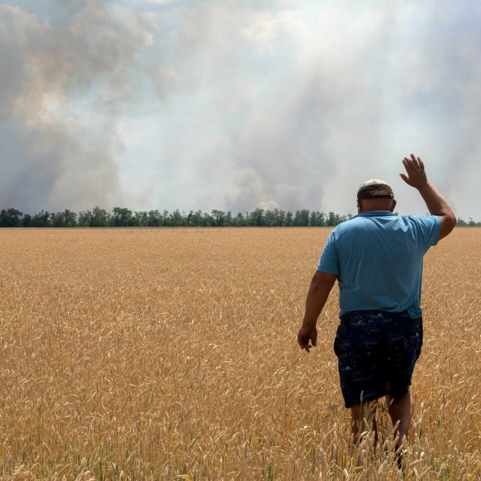 ÅKER: En ukrainsk bonde ser på at åkeren hans med korn brenner. Det er følgen av et angrep. Nå er det håp om at Ukraina og Russland kan bli enige om en avtale om korn. Da kan bønder i Ukraina få solgt kornet sitt til andre land igjen. Det kan hindre stor sult i verden. Ein ukrainsk bonde ser på at kornåkeren hans brenn etter eit angrep i Dnipropetrovsk-regionen i Ukraina. Foto: Efrem Lukatsky / AP / NTB