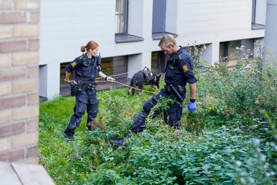 KRIMINALITET: Politiet søker med hund etter knivstikkingen ved Furuset T-banestasjon i Oslo. Bildet viser politiet som søker med hund etter knivstikkingen ved Furuset T-banestasjon i Oslo.