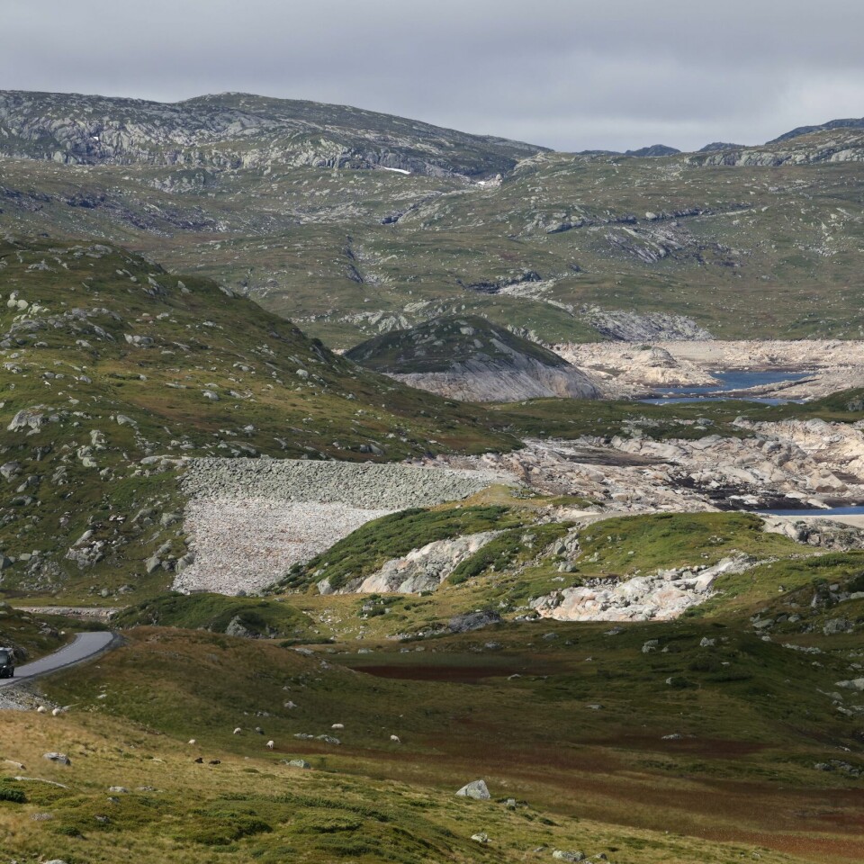 VÆR: Lav vannstand i Rosskreppfjorden. Det er en innsjø i Sirdal og Valle kommuner i Agder. Strømprisene er høye også i deler av Norge, blant annet på grunn av lite vann i magasinene. I Rosskreppfjorden i Sirdal og Valle kommune i Agder er vannstanden lav. Foto: Ørn E. Borgen / NTB