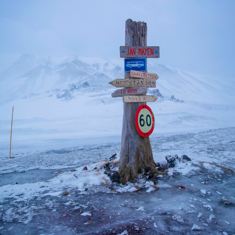 ØY: Et tre med skilt viser veien utenfor flyplassen ved Olonkinbyen på Jan Mayen. Et tre med skilt viser veien utenfor flyplassen ved Olonkinbyen på Jan Mayen. Foto: Stian Lysberg Solum / NTB