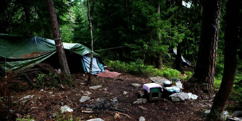 LEIR: Romfolk har bodd i telt i skogen på Songsvann i Oslo. Nå blir de tvunget til å flytte.