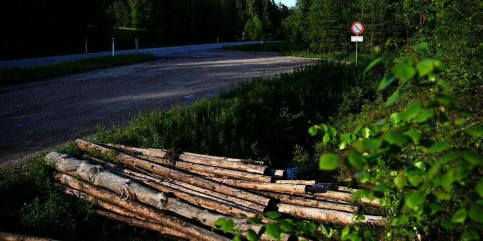 ETTERLYST: To biler skal ha vært sett rett ved dette området ved Kongsvinger. Her ved Masterudveien ble to jenter bortført tirsdag.