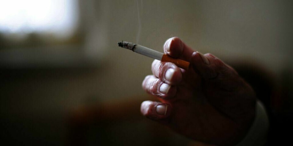 Røyk blir mindre populært. I 1973 røykte 42 prosent av alle nordmenn hver dag. I fjor var tallet bare 13 prosent.