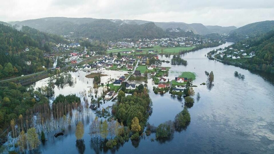 FLOM: Slik så det i begynnelsen av oktober. Elven Otra gikk over sine bredder ved Mosby nord for Kristiansand.