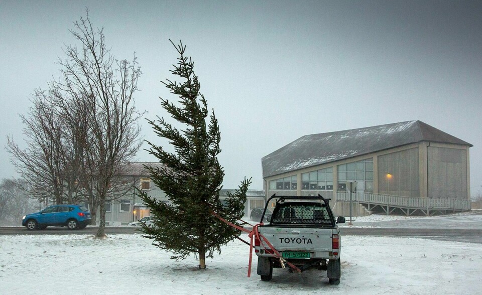 STORM: Et juletre måtte bindes fast til en bil. For en uke siden herjet stormen Ylva. Nå er en ny storm på vei mot Nord-Norge.