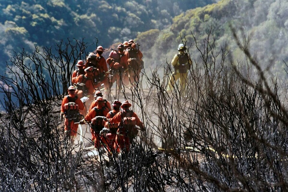 UTBRENT: Brannmenn går gjennom utbrente busker og trær utenfor byen Montecito.