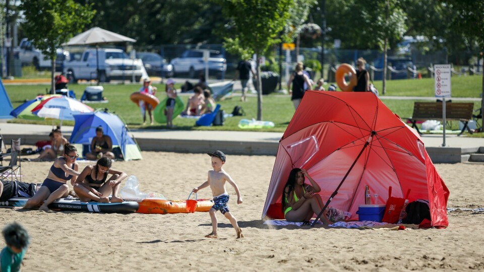 VARMT: I Canada drar folk til stranden for å holde ut varmen. Her fra Chestermere. I Canada søker folk seg til stranden for å holde ut varmen. Her fra Chestermere. Foto: Jeff McIntosh / The Canadian Press via AP / NTB