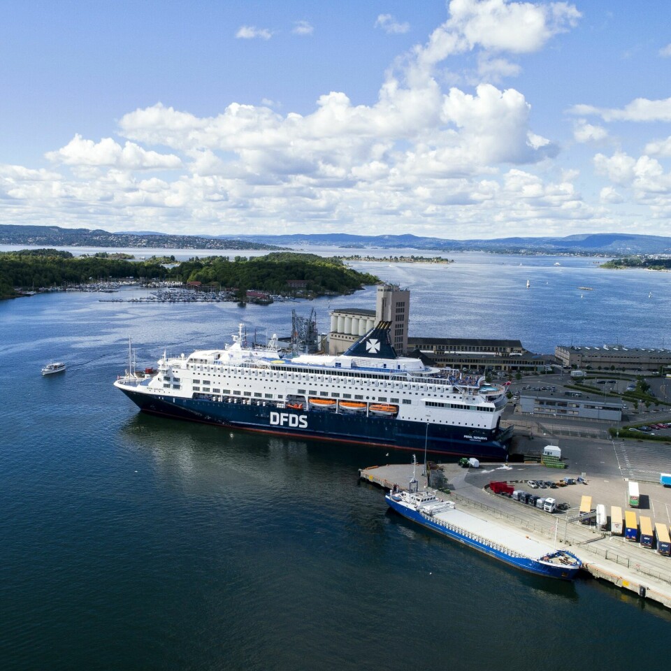 En rekke dyr mister både mat og skjulested. Oslofjorden er i ferd med å miste masse viktige planter. Pearl Seaways ved kai i Oslo. Foto: Tore Meek / NTB