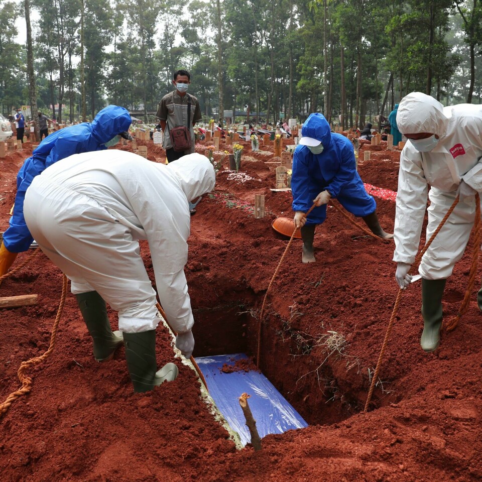 Det er meldt om at det blir flere døde med korona i Indonesia, Myanmar og Malaysia. Der dør det nå flere per million innbyggere enn på det verste i India. Bildet er fra en begravelse i Indonesia. Bildet er av folk i beskyttelsesdrakter som senker en blå kiste ned i rød jord. I kista er det en person som er død med korona. I bakgrunnen er det grønne trær-