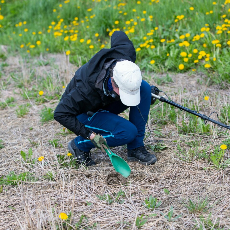 METALLSØKER: Aldri har Riksantikvaren betalt ut mer penger i finnerlønn. GRAVE OPP: Når søkeren gir signal, må det graves, og etterpå skal man tette igjen hullet. Foto: Berit Roald / NTB