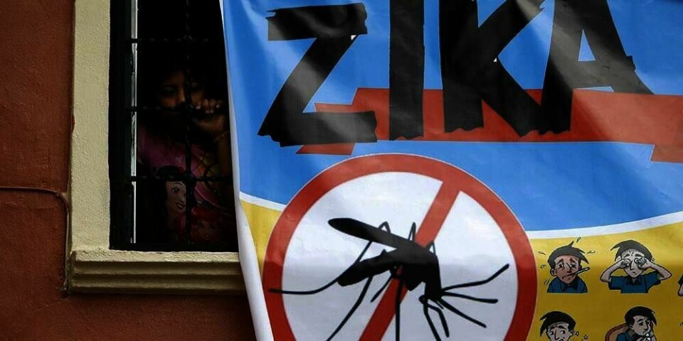 – Vent med å bli gravide. Det er rådet til norske kvinner fra helsemyndighetene. Det gjelder for kvinner som har vært i områder med zika.