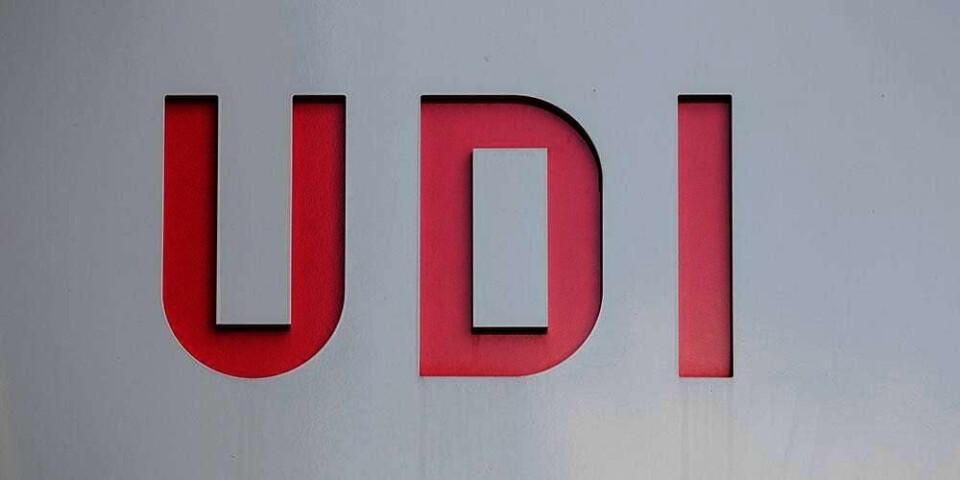 MINDREÅRIGE: 61 personer under 18 år var gift da de søkte asyl i Norge.
