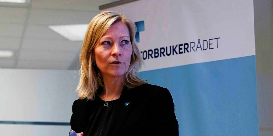 KLAGER: Ingeborg Flønes er direktør for forbrukerservice i Forbrukerrådet. 85.000 tok kontakt med Forbrukerrådet i fjor. Vi klager mest på bil, husleie, tjenester, mobil og datamaskiner.