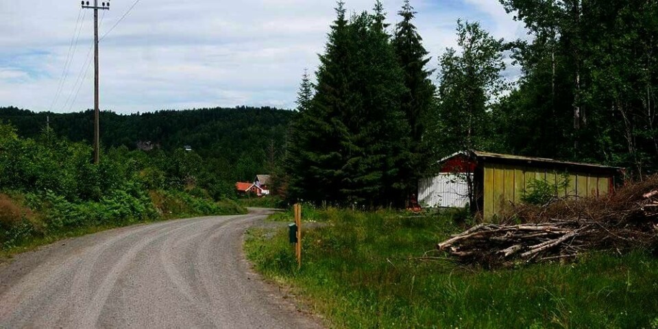 RETTSSAK: Nye metoder kan ha avslørt hvem som drepte 12 år gamle Kristin Juel Johannessen i 1999. Bildet viser stedet hvor jenta ble funnet død.